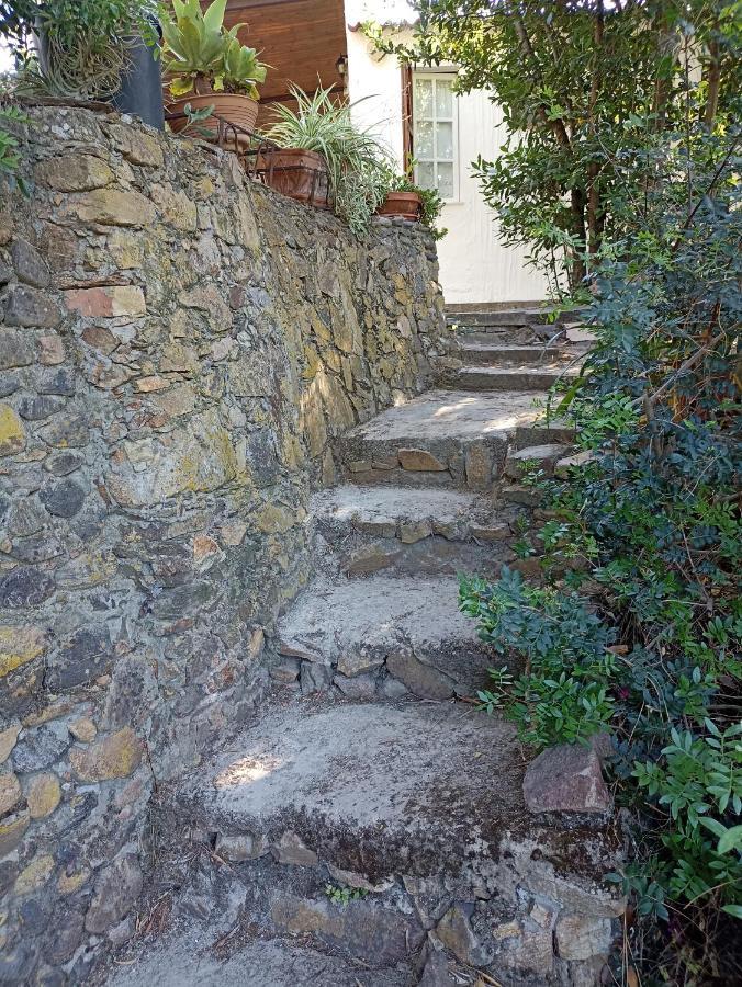 Chia - Casarosa Villa Домус де Мария Екстериор снимка